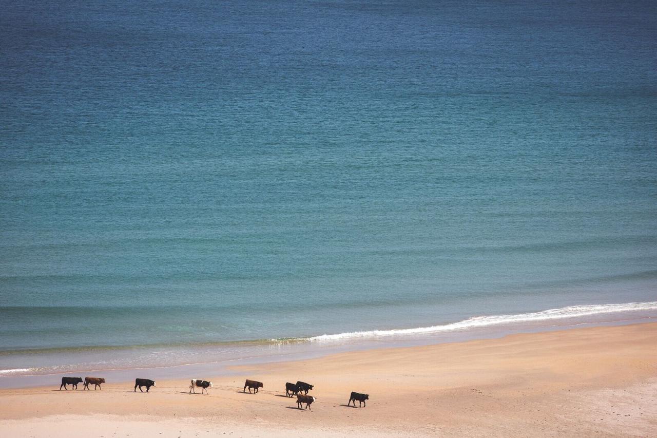 White Park Bay Youth Hostel Ballintoy Ngoại thất bức ảnh